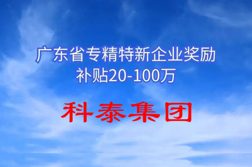 省級專精特新企業(yè)有什么補(bǔ)助