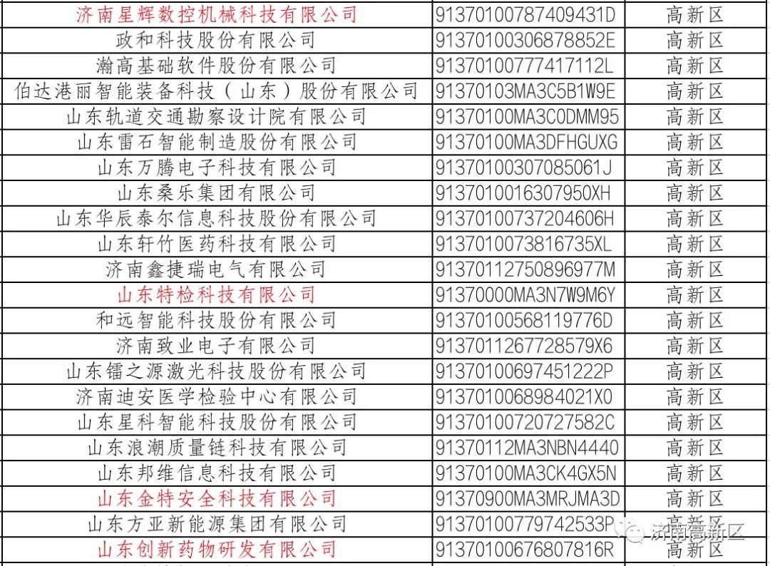 濟南市瞪羚企業(yè)名單