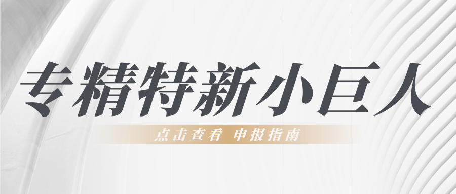 第六批專精特新“小巨人”申報倒計時！企業(yè)要如何準(zhǔn)備申報工作？