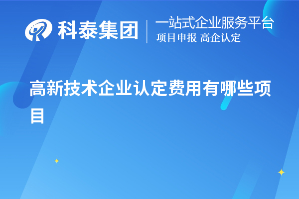 高新技術(shù)企業(yè)認定費用有哪些項目