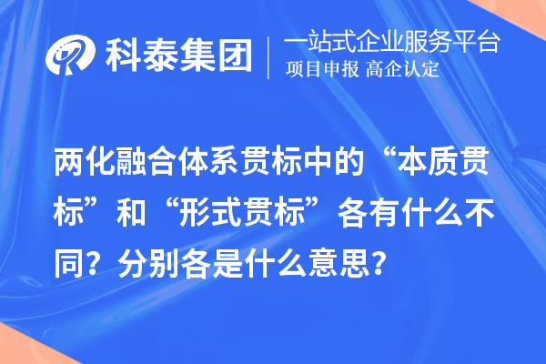 兩化融合體系貫標中的“本質(zhì)貫標”和“形式貫標”各有什么不同？分別各是什么意思？