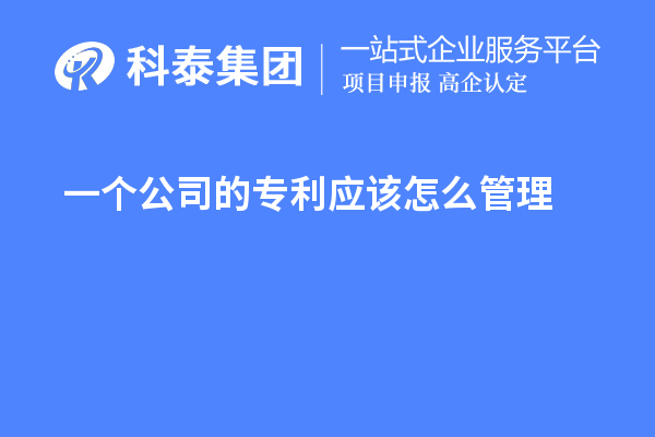 一個(gè)公司的專(zhuān)利應(yīng)該怎么管理