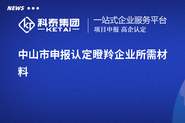 中山市申報認定瞪羚企業(yè)所需材料