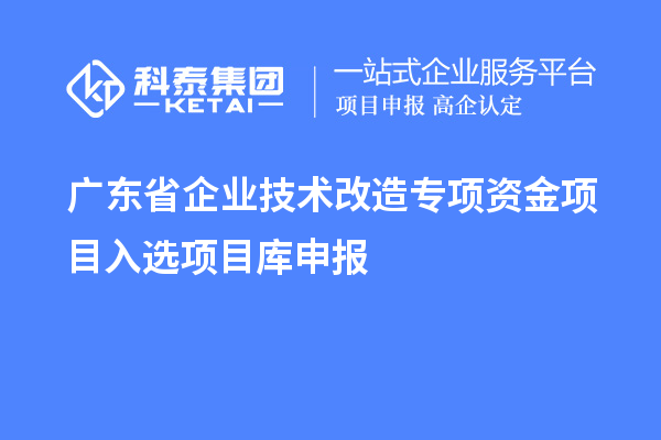 廣東省企業(yè)技術(shù)改造專項(xiàng)資金項(xiàng)目入選項(xiàng)目庫申報(bào)