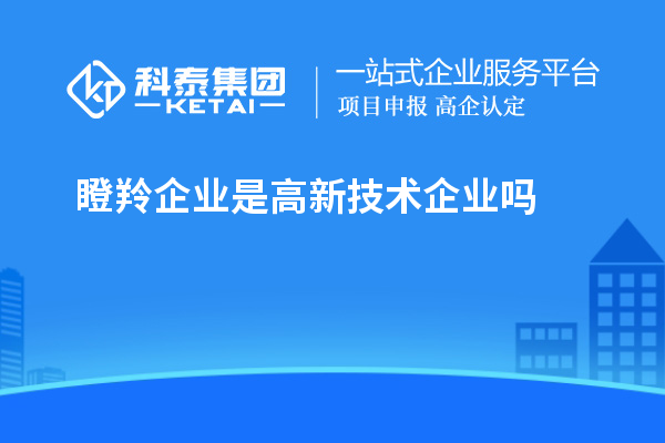 瞪羚企業(yè)是高新技術企業(yè)嗎