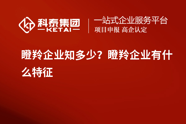 瞪羚企業(yè)知多少？瞪羚企業(yè)有什么特征