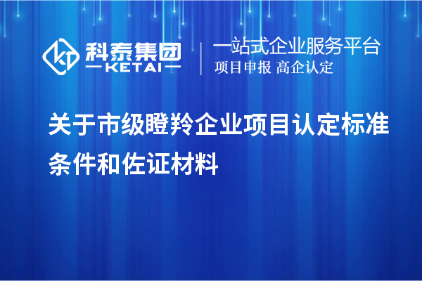 關(guān)于市級瞪羚企業(yè)項目認(rèn)定標(biāo)準(zhǔn)條件和佐證材料