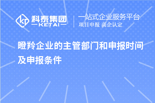 瞪羚企業(yè)的主管部門和申報時間及申報條件