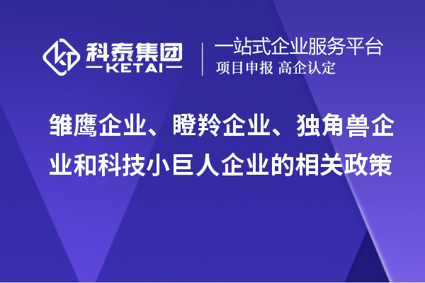 雛鷹企業(yè)、瞪羚企業(yè)、獨角獸企業(yè)和科技小巨人企業(yè)的相關政策