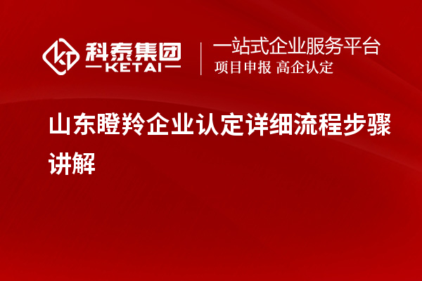 山東瞪羚企業(yè)認(rèn)定詳細(xì)流程步驟講解