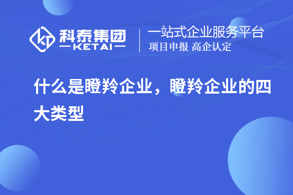 什么是瞪羚企業(yè)，瞪羚企業(yè)的四大類型