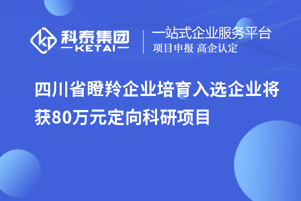 四川省瞪羚企業(yè)培育入選企業(yè)將獲80萬元定向科研項(xiàng)目