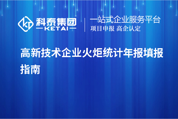 高新技術企業(yè)火炬統(tǒng)計年報填報指南