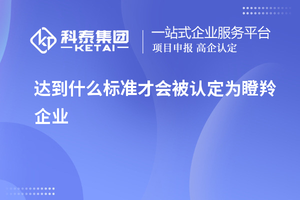 達(dá)到什么標(biāo)準(zhǔn)才會被認(rèn)定為瞪羚企業(yè)