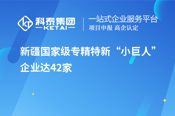 新疆國(guó)家級(jí)專精特新“小巨人”企業(yè)達(dá)42家