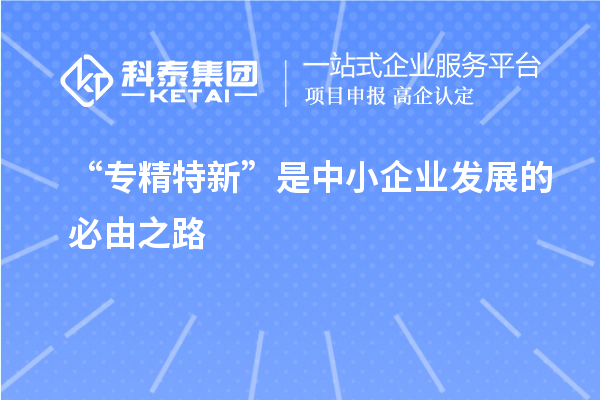 “專精特新”是中小企業(yè)發(fā)展的必由之路