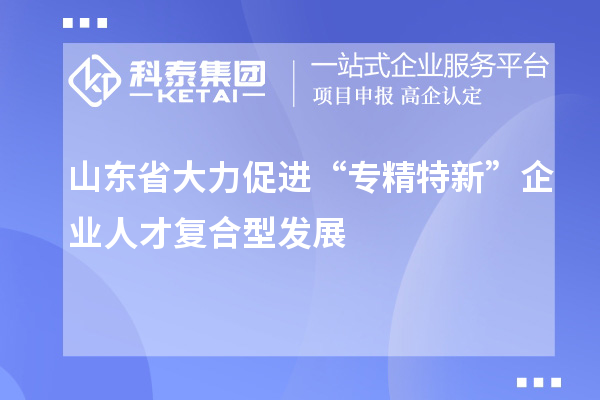 山東省大力促進“專精特新”企業(yè)人才復(fù)合型發(fā)展