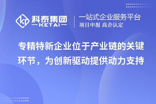 專精特新企業(yè)位于產(chǎn)業(yè)鏈的關鍵環(huán)節(jié)，為創(chuàng)新驅(qū)動提供動力支持