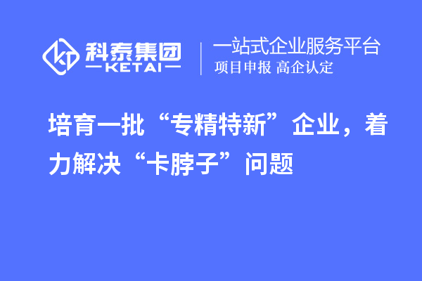 培育一批“專精特新”企業(yè)，著力解決“卡脖子”問(wèn)題