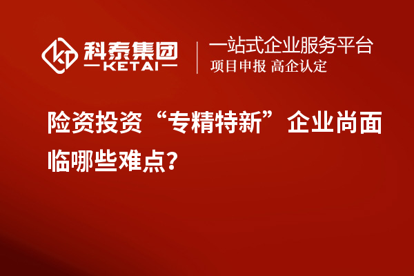 險(xiǎn)資投資“專精特新”企業(yè)尚面臨哪些難點(diǎn)？