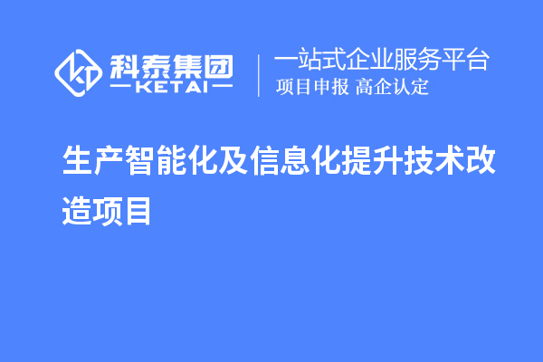 生產(chǎn)智能化及信息化提升技術改造項目