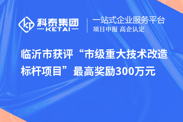 臨沂市獲評“市級重大技術(shù)改造標(biāo)桿項目”最高獎勵300萬元