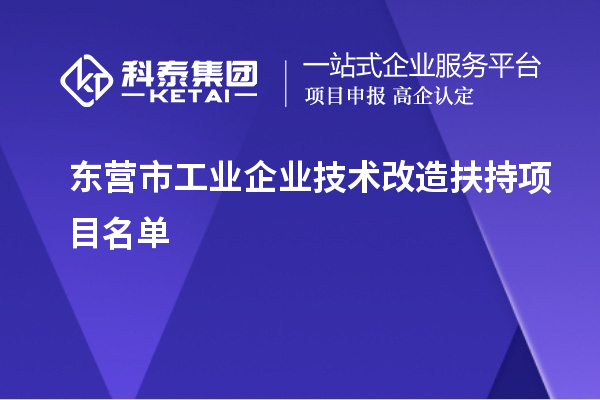 東營市工業(yè)企業(yè)技術(shù)改造扶持項目名單