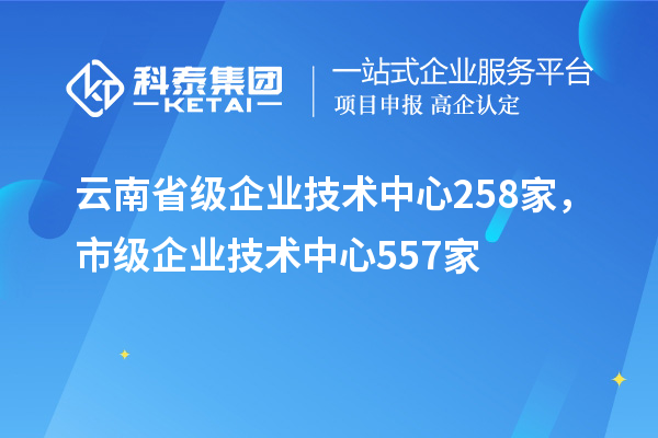 云南省級(jí)企業(yè)技術(shù)中心258家，市級(jí)企業(yè)技術(shù)中心557家