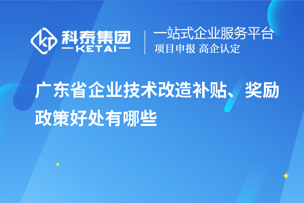 廣東省企業(yè)技術(shù)改造補(bǔ)貼、獎(jiǎng)勵(lì)政策好處有哪些