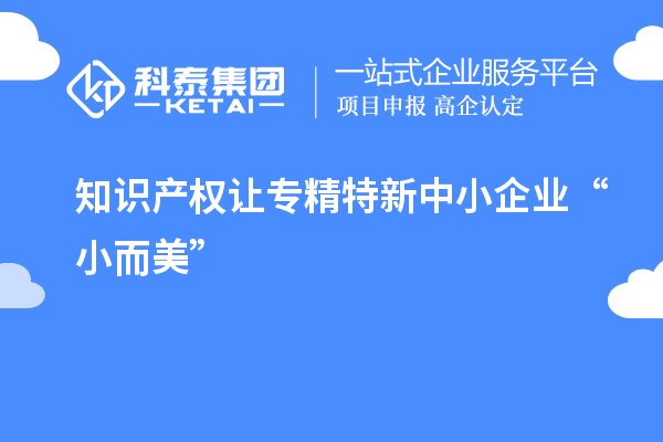 知識產(chǎn)權讓專精特新中小企業(yè)“小而美”