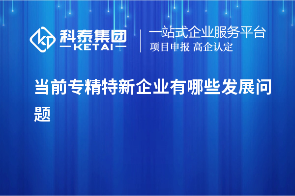 當(dāng)前專精特新企業(yè)有哪些發(fā)展問(wèn)題