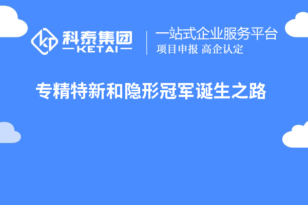 專精特新和隱形冠軍誕生之路