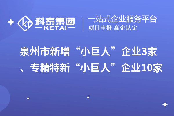 泉州市新增“小巨人”企業(yè)3家、專精特新“小巨人”企業(yè)10家