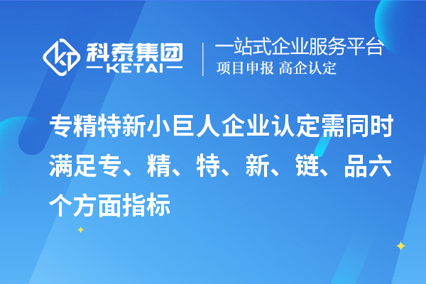 專精特新小巨人企業(yè)認定需同時滿足專、精、特、 新、鏈、品六個方面指標