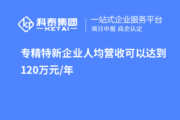 專精特新企業(yè)人均營收可以達到 120萬元/年