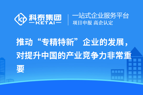 推動“專精特新”企業(yè)的發(fā)展，對提升中國的產(chǎn)業(yè)競爭力非常重要