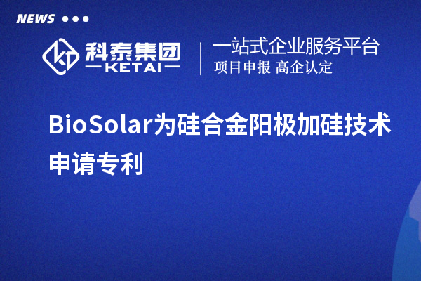 BioSolar為硅合金陽極加硅技術申請專利