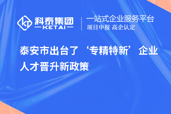 泰安市出臺(tái)了‘專精特新’企業(yè)人才晉升新政策