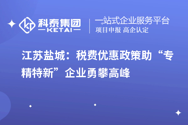 江蘇鹽城：稅費(fèi)優(yōu)惠政策助“專精特新”企業(yè)勇攀高峰