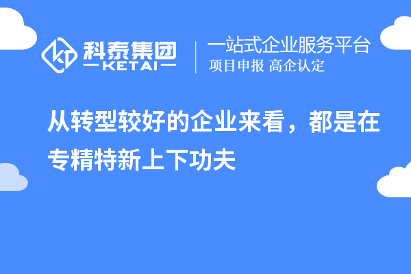 從轉(zhuǎn)型較好的企業(yè)來看，都是在專精特新上下功夫