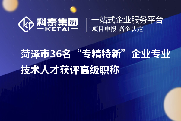 菏澤市36名“專(zhuān)精特新”企業(yè)專(zhuān)業(yè)技術(shù)人才獲評(píng)高級(jí)職稱(chēng)