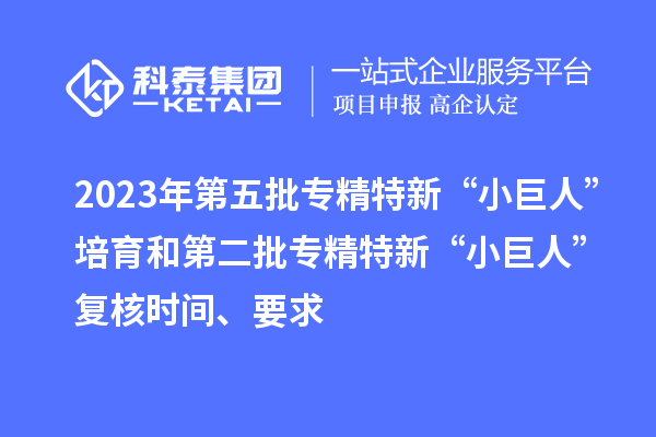 2023年第五批專精特新“小巨人”培育和第二批專精特新“小巨人”復核時間、要求