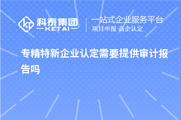 專精特新企業(yè)認定需要提供審計報告嗎