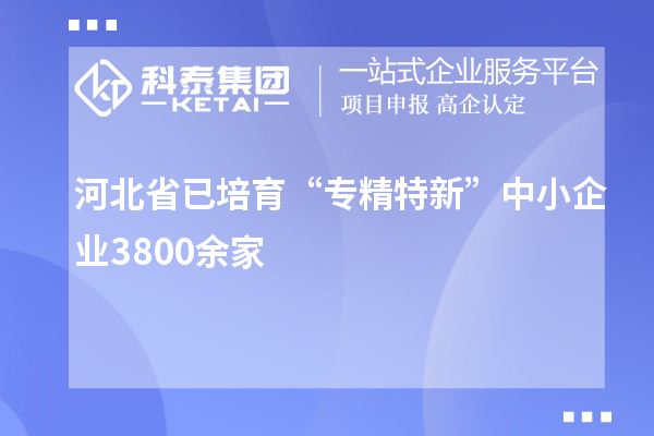 河北省已培育“專精特新”中小企業(yè)3800余家