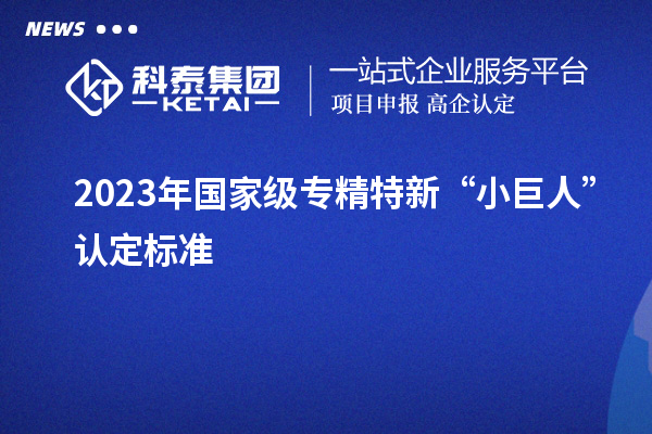 2023年國(guó)家級(jí)專精特新“小巨人”認(rèn)定標(biāo)準(zhǔn)