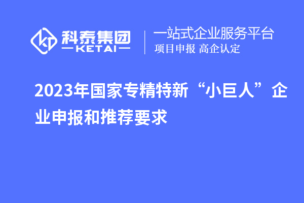 2023年國(guó)家專精特新“小巨人”企業(yè)申報(bào)和推薦要求