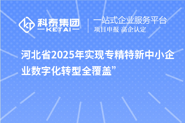 河北省2025年實現(xiàn)專精特新中小企業(yè)數(shù)字化轉(zhuǎn)型全覆蓋”