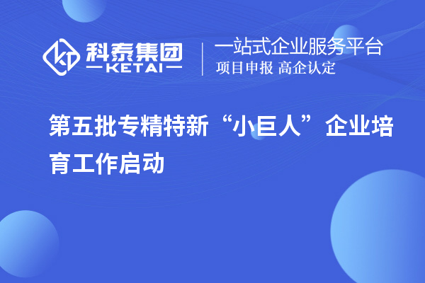 第五批專精特新“小巨人”企業(yè)培育工作啟動