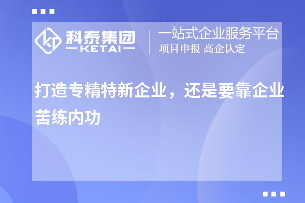 打造專精特新企業(yè)，還是要靠企業(yè)苦練內(nèi)功