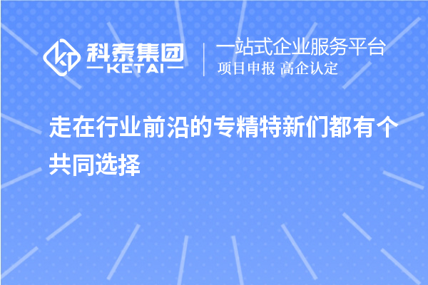 走在行業(yè)前沿的專精特新們都有個(gè)共同選擇